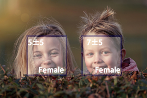 属性判定システム TrueView Demographics 属性判定システム TrueView Demographics